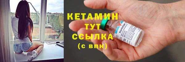 стаф Новоузенск
