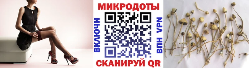 Галлюциногенные грибы мухоморы  ОМГ ОМГ сайт  Островной 